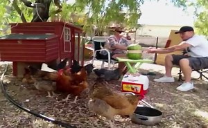 Surprises are generally known to be a good thing and most people tend to get a good laugh out of them, but not these eight people. These people are in for the shock of their lives and don't handle them all too well! I guess some people just don't like a good surprise. | America's Funniest Home Videos