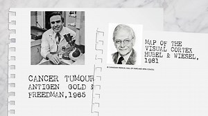 60K views · 17 reactions | A lot has changed in the past 150 years in Canada — including the medical profession and its countless innovations that continue to advance medicine. Between the evolving face of our physicians to new technologies, Canadians continue to push the global medical field forward. Watch the video to learn more! | Canadian Medical Association | Facebook