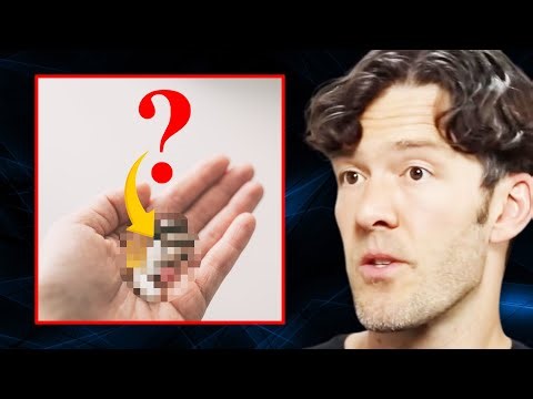 The TOP SUPPLEMENTS That Actually Work | Mike Mutzel