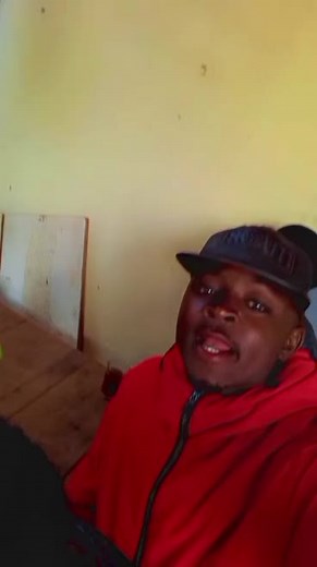 gattouzo premier (@gattouzo.premier)’s videos with son original - gattouzo premier