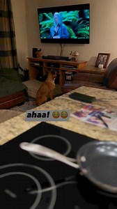 1.8K views · 119 reactions | Naughty girl! She drink my lemon Tea .  | Mia & Da Gang With Emily | Facebook