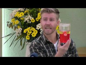 Valentine's Object Lesson - God Love