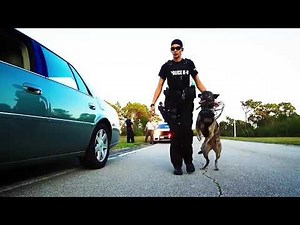 Police Tribute - Highest And Greatest