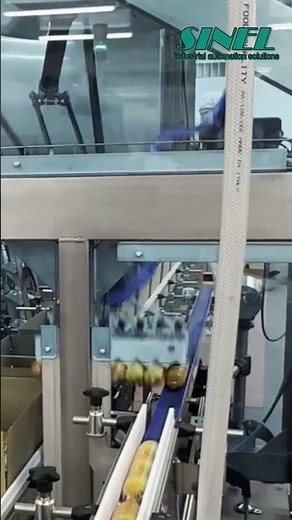 Delta FlexPicker: The Sausage-Packing Powerhouse #industrialautomation #foodindustry