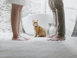 What Is Family Mediation And How Can It Help? | 0300 4000 636