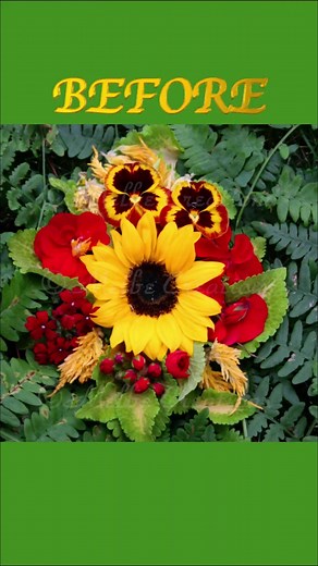 31 reactions · 28 comments | NEW DESIGN SUN KISSED Sunflower...