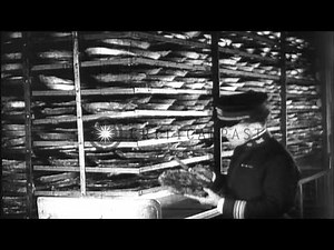 Life aboard the American troopship, SS Leviathan, during World War I. HD Stock Footage