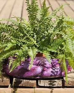 14K views · 13 reactions | DIY Flower Pot Magic | Girly Panda | Facebook