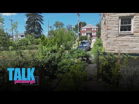 A garden paved in greenery