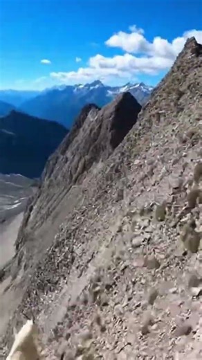 🐐 Insane Mountain Goat Mega Jumps on a Razor-Thin Ridge! #usa #shorts #mountain #goat