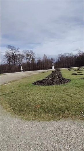 View of schonbrunn palace gardens in winters