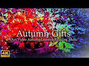 4K video Autumn leaves [Autumn gift] Beautiful scenery and healing BGM / Nature superb view Relaxing