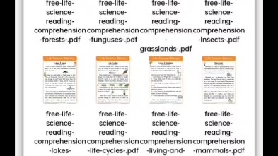 英文Reading阅读comprehension理解worksheets练习册skill-reading Phonics comrehension sight
