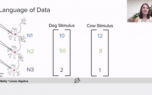 Linear Algebra: Tutorial 1 Video 1