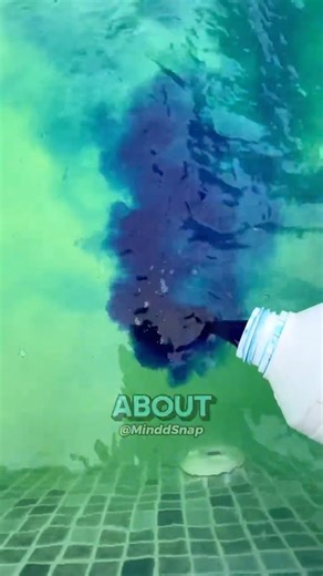 How to Fix a Swamp-Like Pool #facts #interesting #science