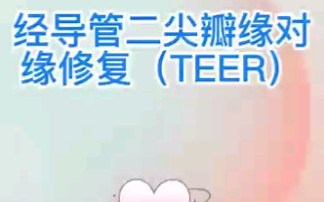 二尖瓣缘对缘修复(TEER)