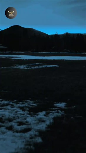 Uplifting Songs That Inspire You Not to Give Up