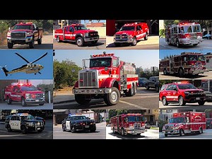 August 2024 Response Compilation