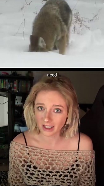 The surprising pairings that reveal nature’s softer side