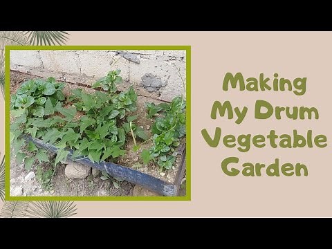 Making My Half-Barrel Vegetable Garden/ Container Gardening / Rachel's DIY