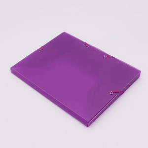 [Hot Item] Office Stationery Plastics File Folder Hot Sale PP File Folder with Elastic Closures