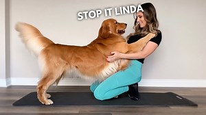 This is What My Dog Does When I Workout | Tucker Budzyn