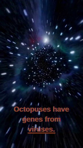 Funny evolution facts #funfacts #facts #psycholgyfacts #interestingfacts