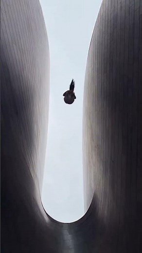 She FLEW Between TWO Giant Walls... And STUCK The Landing! 🤯