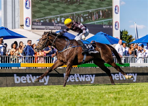 2025 WSB Cape Town Met Horse Profile - ATTICUS FINCH | Hollywoodbets Sports Blog