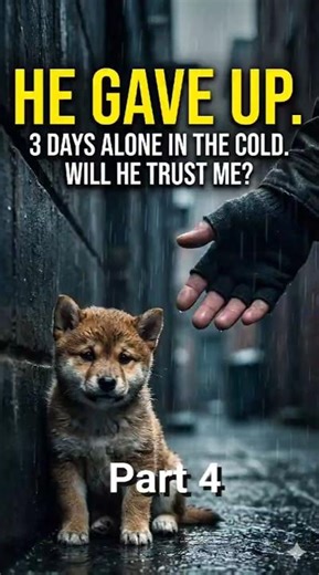 He thought he was going to be EATEN... 🥺🤣 #animals #dog #dogs #dogshorts #ai