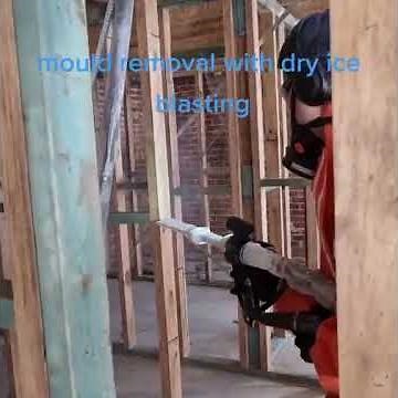 Effective Mold Removal with Dry Ice Blasting: A Safe Solution for Timber Frames