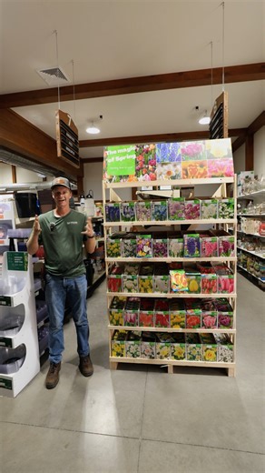 1.3K views · 11 reactions |  TIME TO PLANT SPRING BULBS Right now...