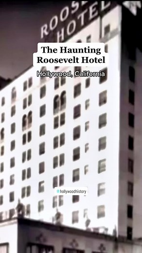 The Haunted Roosevelt Hotel in Hollywood, California is known to host celebrity ghosts 📺 Clip Movie: Hollywood Ghosts & Gravesites #roosevelthotel #hollywoodhistory #marilynmonroeforever #creepytok #hauntedhotels #spookystorytimes #goldenerahollywood #hollywoodghosts #ghosttales #theroosevelthotel