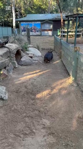 15K reactions · 713 shares | Built like a tank, runs like a sports...