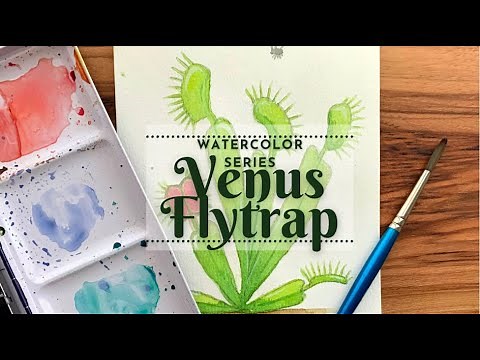 Venus Flytrap - Watercolor Tutorial