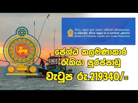2025 Job Vacancies in Sri Lanka new | New Government & Private Jobs | රජයේ රැකියා ඇබෑර්තු 2025