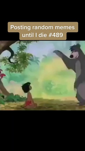 Funny Jungle Book Memes Compilation