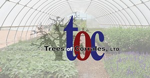 Current Availability - New Mexico Wholesale Nursery Supplier