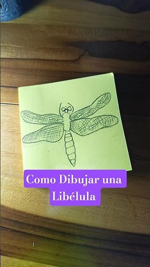Como Dibujar una Libélula Paso a Paso ✍🏻✨