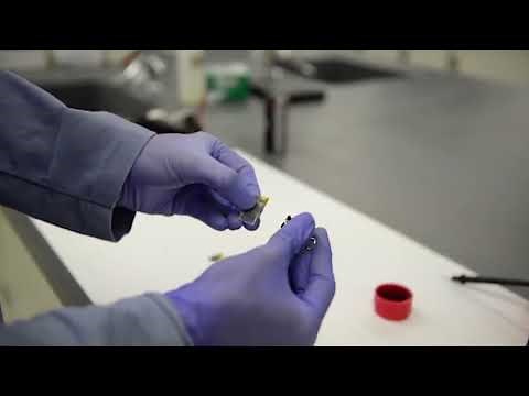 Fabrication of Perovskite Solar Cells