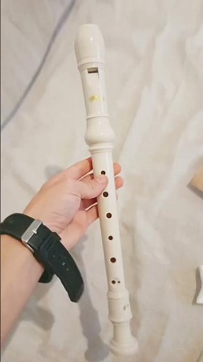 flauto dolce di Tiger