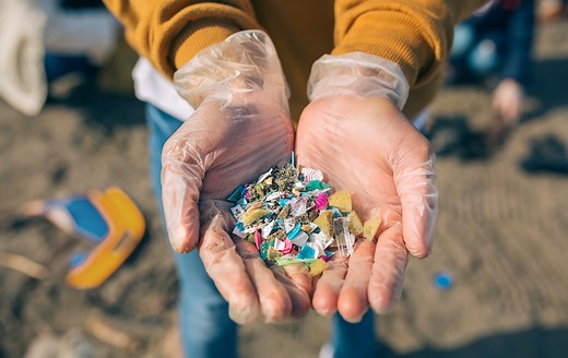 Study reports "shocking" findings of microplastics in the Arctic - The Weather Network