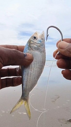 1.8M views · 10K reactions | use natural fishing bait | Roso Fishing New | Facebook