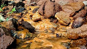 Flow of pure mountain spring water. Natural mountain spring.
