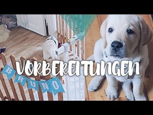 Labrador Retriever Welpe BRUNO zieht ein 🥰😍 | Unsere VORBEREITUNGEN für unseren Labbi Welpen