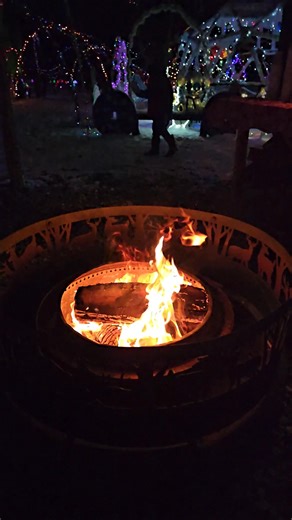 13K views · 317 reactions | Opening night! | Chase Family Christmas Lights Display | Facebook