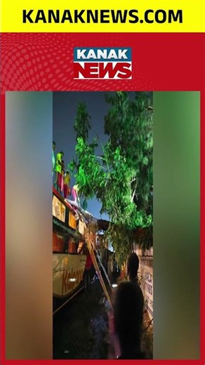 Massive Kalbaisakhi Storm Hits Balasore, Huge Tree Falls on Bus | Kanak News Shorts