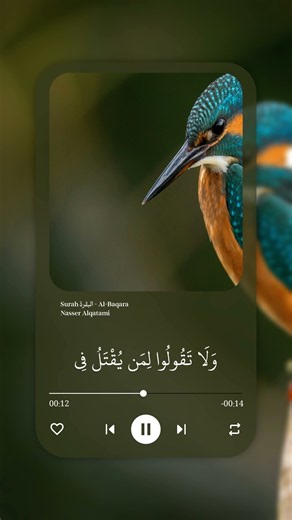 سورة البقرة | ناصر القطامي | تلاوة مؤثرة #القرآن_الكريم #قرآن #سورة_البقرة #quran #explore #ترند