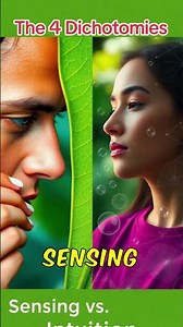 The FOUR DICHOTOMIES Explained Avoid These Mistakes