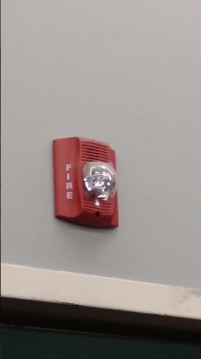 System Sensor Spectralert Advance P2R Horn Strobe